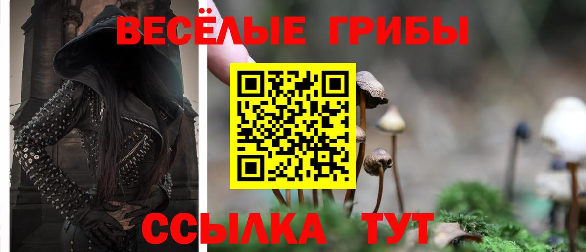 купить наркоту  Псилоцибиновые грибы MAGIC MUSHROOMS  Вход с VPN  Зима 
